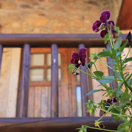 Casas Do Favacal * Ferraria de São João