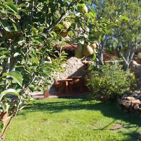 Σπίτι διακοπών Casas Do Favacal Ferraria de São João